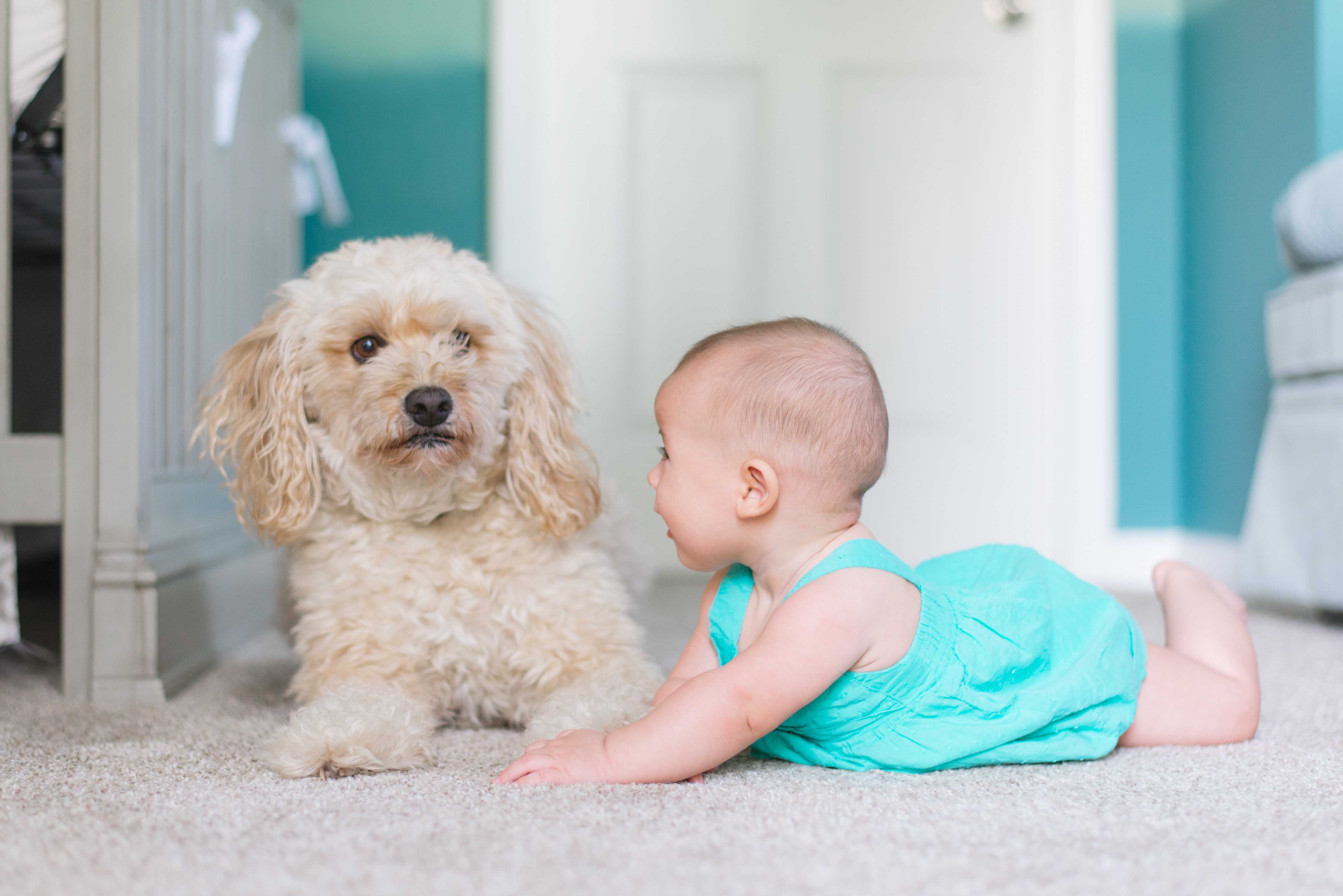 Benefici sulla convivenza tra cane e bambini