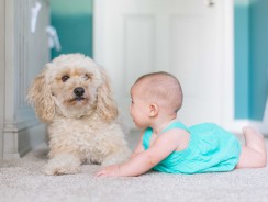 Benefici sulla convivenza tra cane e bambini