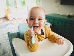 Seggiolone Polly 2 in 1 perché acquistarlo?